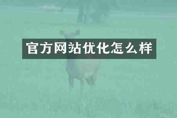官方网站优化怎么样