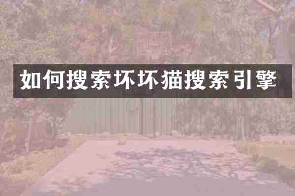 如何搜索坏坏猫搜索引擎