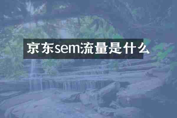 京东sem流量是什么