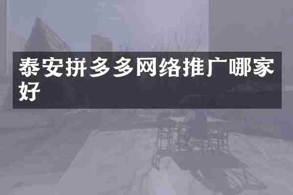 泰安拼多多网络推广哪家好