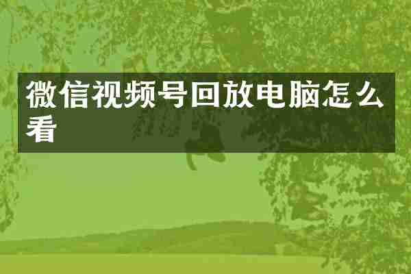 微信视频号回放电脑怎么看
