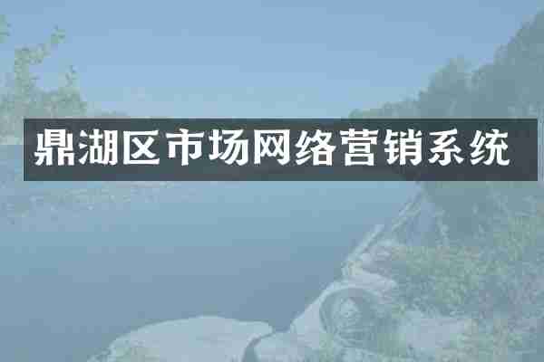 鼎湖区市场网络营销系统