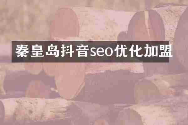 秦皇岛抖音seo优化加盟