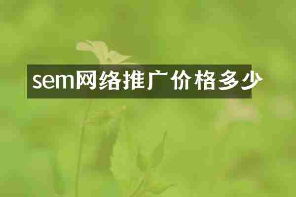 sem网络推广价格多少