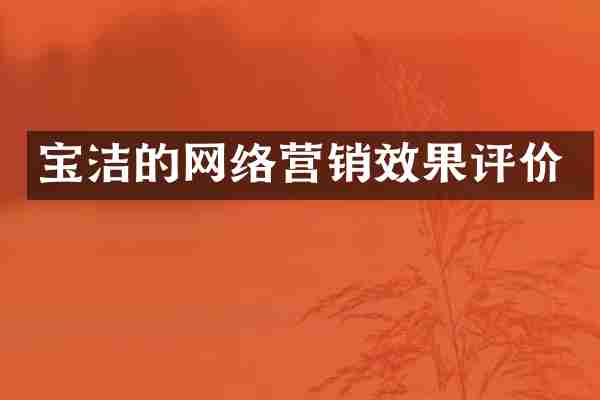 宝洁的网络营销效果评价