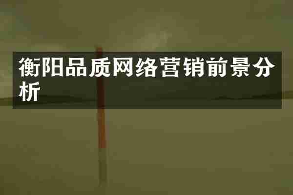 衡阳品质网络营销前景分析