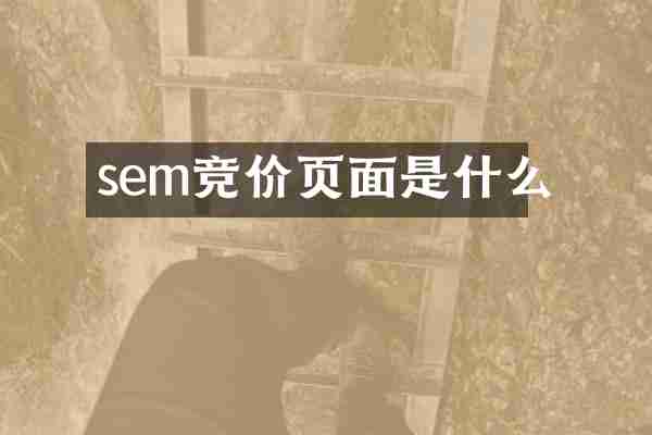 sem竞价页面是什么