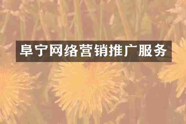 阜宁网络营销推广服务