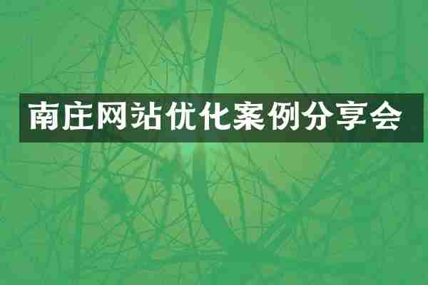 南庄网站优化案例分享会