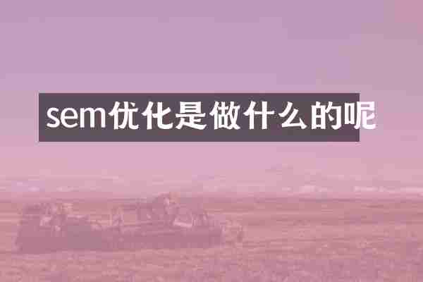 sem优化是做什么的呢