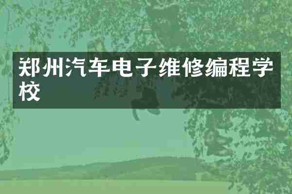 郑州汽车电子维修编程学校