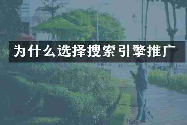 为什么选择搜索引擎推广