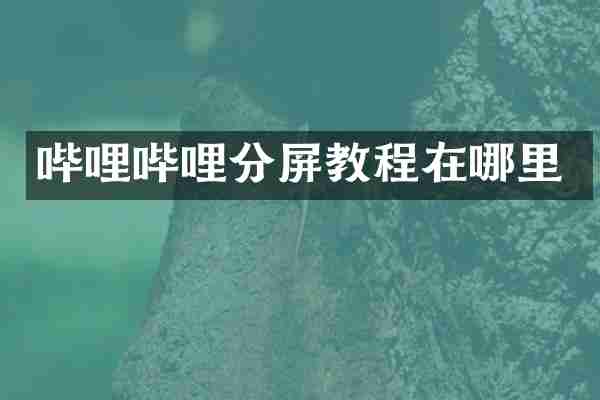 哔哩哔哩分屏教程在哪里