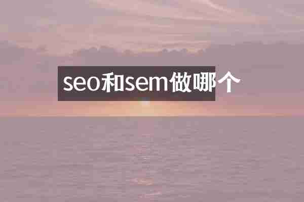 seo和sem做哪个