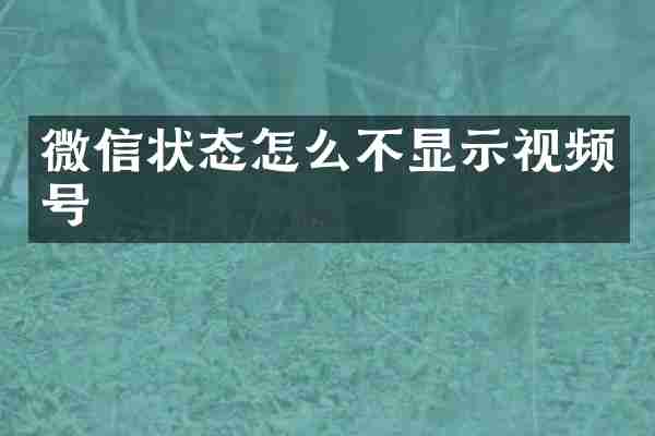 微信状态怎么不显示视频号