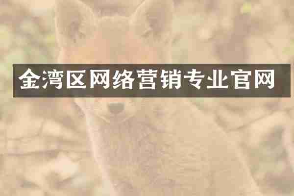 金湾区网络营销专业官网