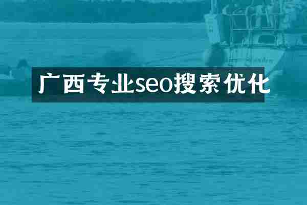 广西专业seo搜索优化