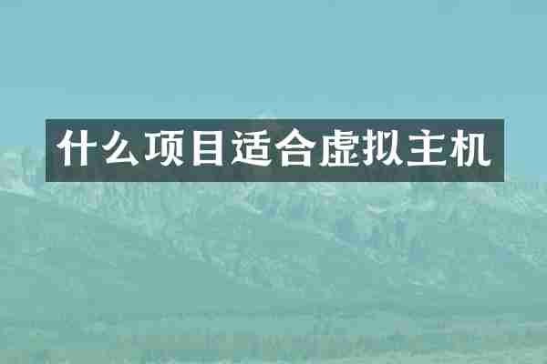 什么项目适合虚拟主机