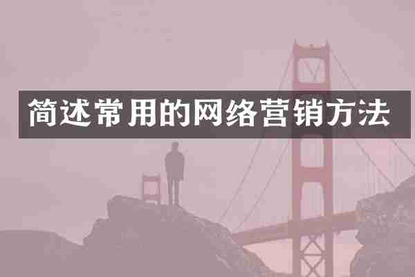 简述常用的网络营销方法