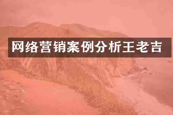 网络营销案例分析王老吉