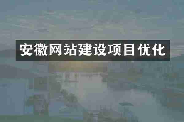 安徽网站建设项目优化