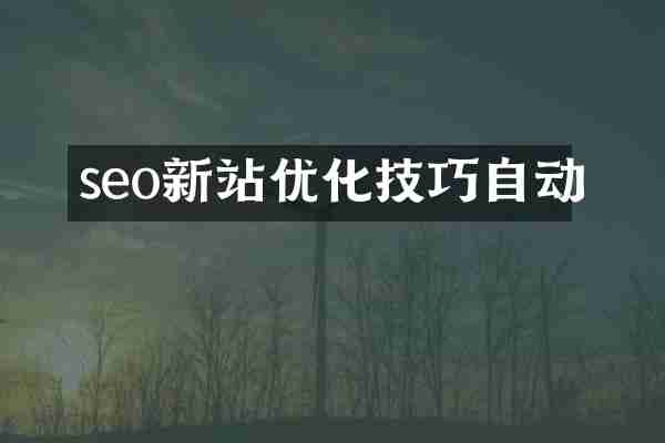 seo新站优化技巧自动
