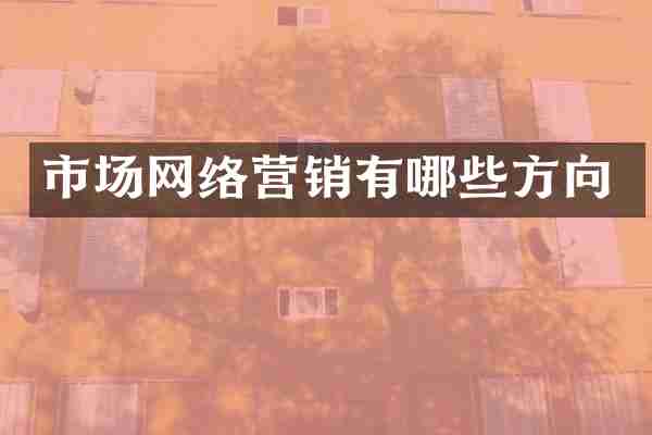 市场网络营销有哪些方向