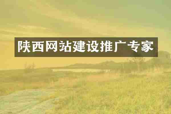陕西网站建设推广专家