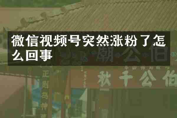 微信视频号突然涨粉了怎么回事