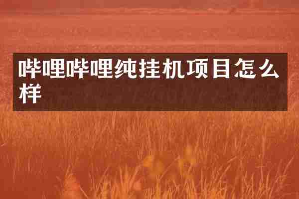 哔哩哔哩纯挂机项目怎么样