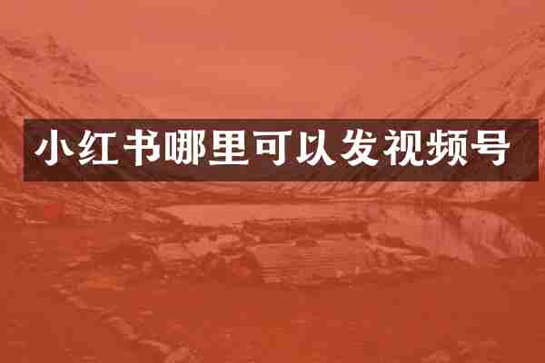 小红书哪里可以发视频号