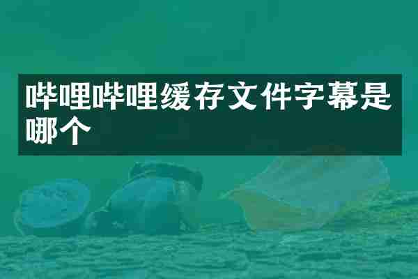 哔哩哔哩缓存文件字幕是哪个
