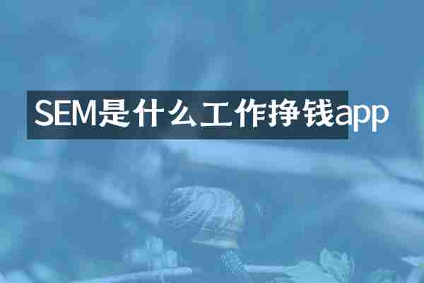 SEM是什么工作挣钱app
