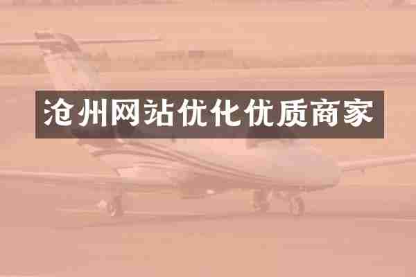 沧州网站优化优质商家