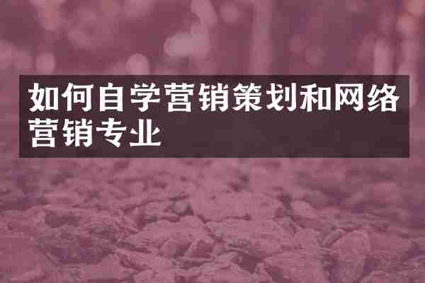 如何自学营销策划和网络营销专业