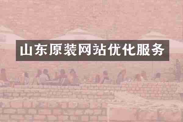 山东原装网站优化服务