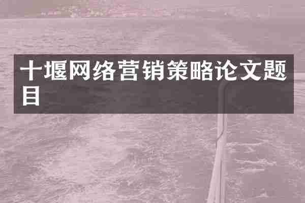 十堰网络营销策略论文题目