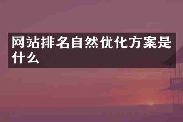 网站排名自然优化方案是什么