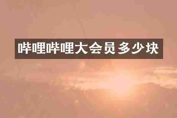 哔哩哔哩大会员多少块