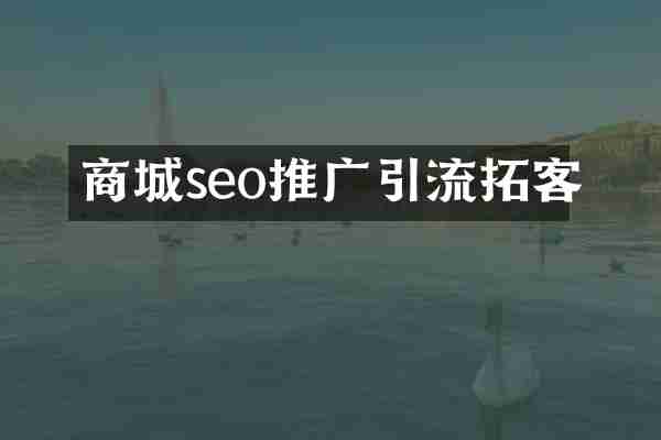 商城seo推广引流拓客