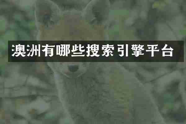 澳洲有哪些搜索引擎平台