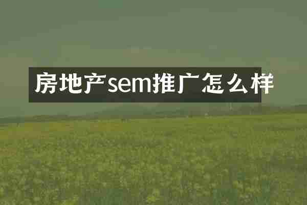 房地产sem推广怎么样