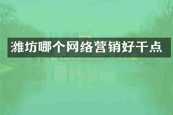 潍坊哪个网络营销好干点