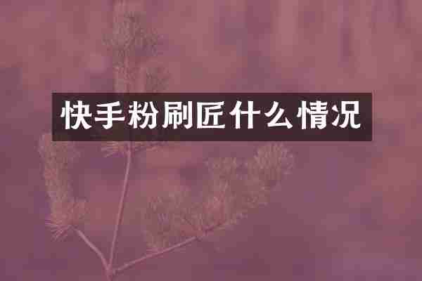 快手粉刷匠什么情况