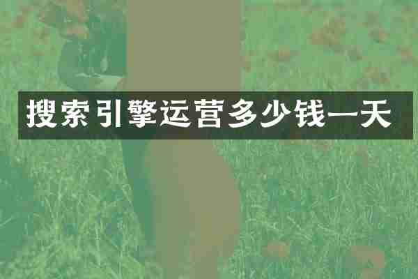 搜索引擎运营多少钱一天