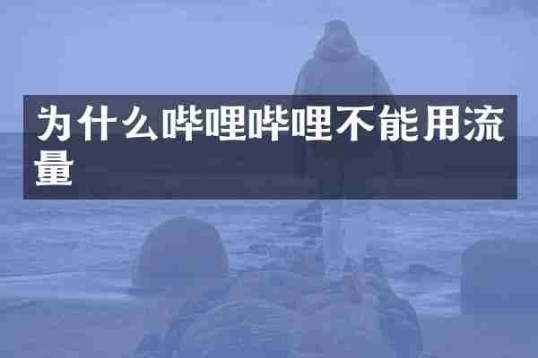为什么哔哩哔哩不能用流量