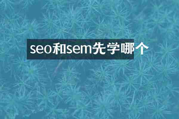 seo和sem先学哪个