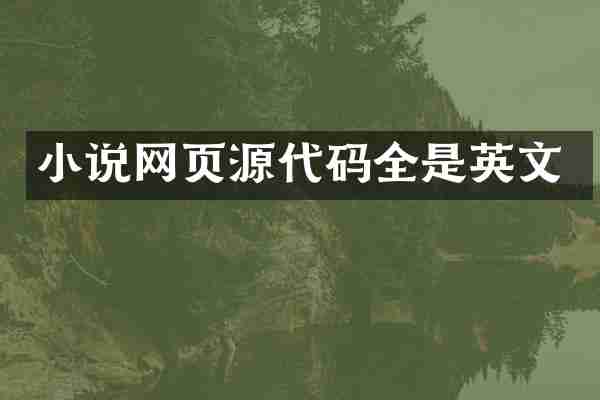 小说网页源代码全是英文