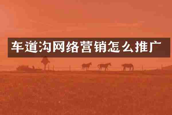 车道沟网络营销怎么推广
