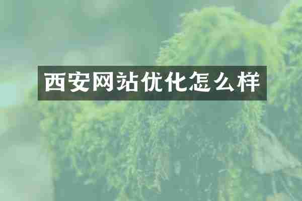 西安网站优化怎么样